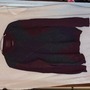 Express men's sweater